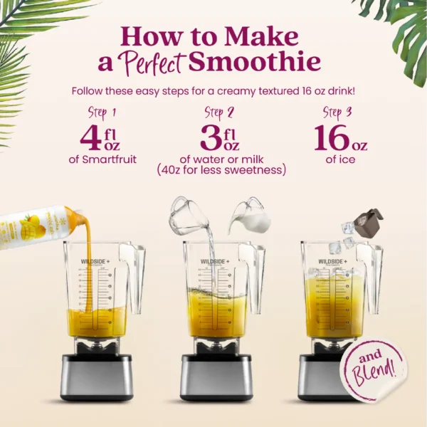 Step-by-step visual instructions showing Smartfruit purée being poured into a blender, followed by water or milk, then ice. Text reads “How to Make a Perfect Smoothie” and lists the steps: 4 fl oz Smartfruit, 3 fl oz water or milk, and 16 oz ice before blending.