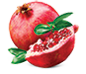pomegranate_xsm