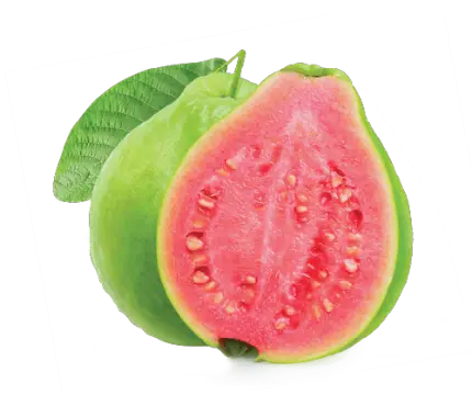 pink-guava